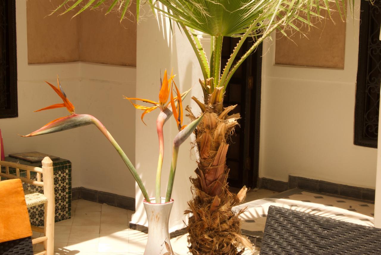 Riad Rockech Marrakesh Luaran gambar